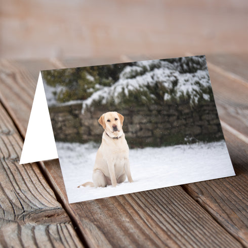Labradorable Snowfall - Christmas Card